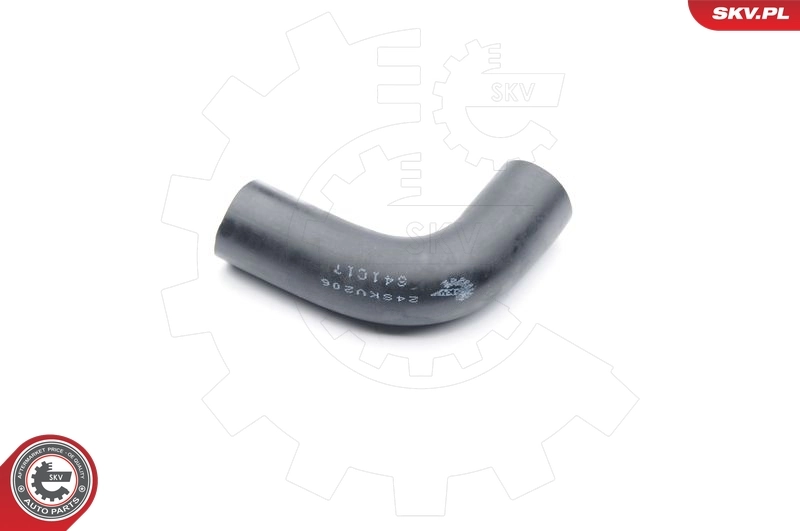 Hose, crankcase ventilation